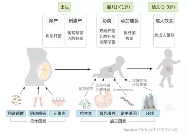 大发500官网(中国)官方登录入口