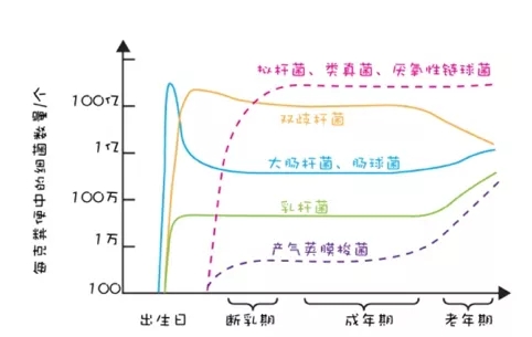 大发500官网(中国)官方登录入口