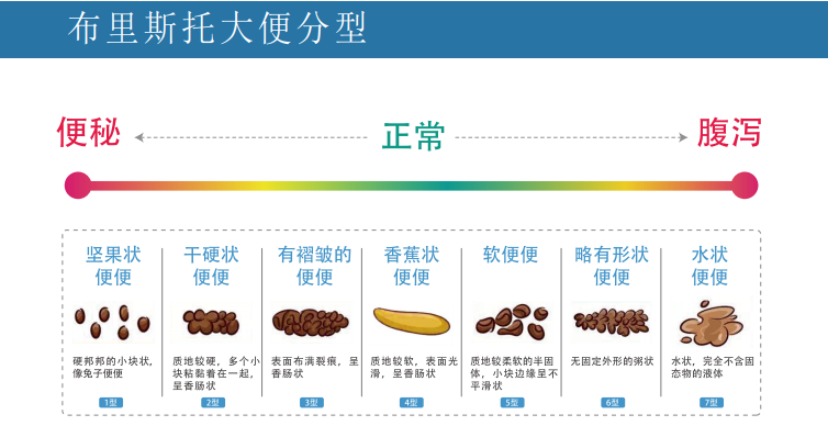 大发500官网(中国)官方登录入口