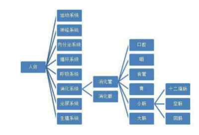 大发500官网(中国)官方登录入口