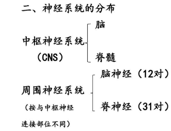 大发500官网(中国)官方登录入口