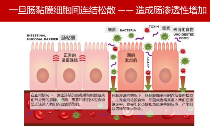 大发500官网(中国)官方登录入口