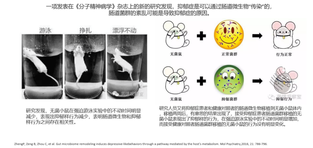 大发500官网(中国)官方登录入口