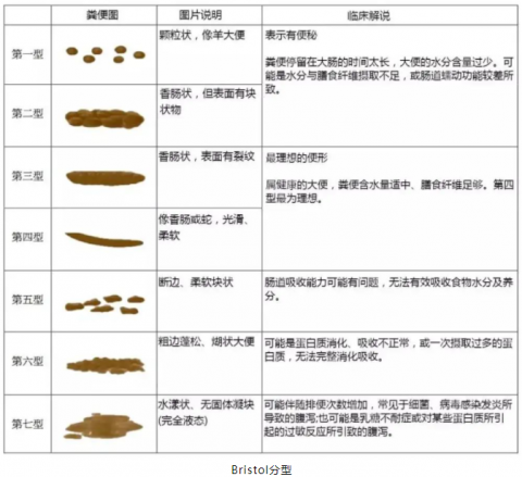 大发500官网(中国)官方登录入口